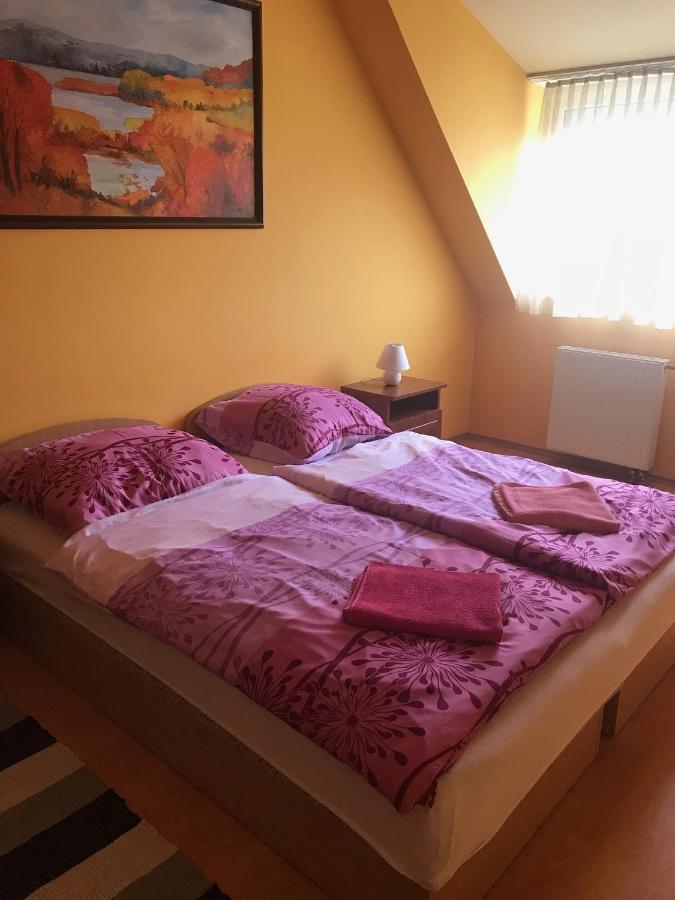 Vida Apartman Sárvár Εξωτερικό φωτογραφία